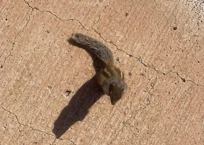 Blue Wave House Corralejo ラ・オリーバ