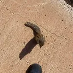 Blue Wave House Corralejo Ла-Олива