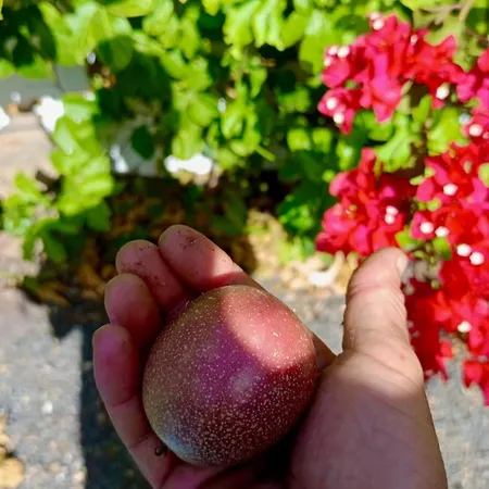 아파트 Blue Wave House Corralejo 라 올리바
