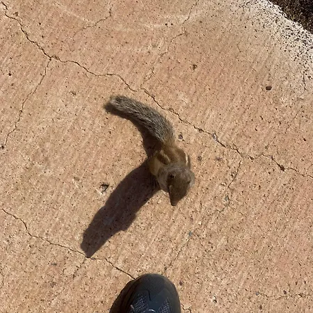 Blue Wave House Corralejo 라 올리바