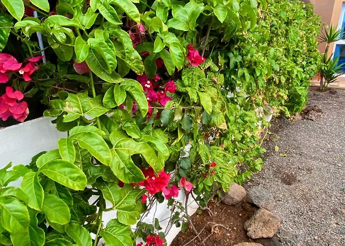 Apartamento Blue Wave House Corralejo