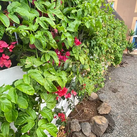 Apartmán Blue Wave House Corralejo